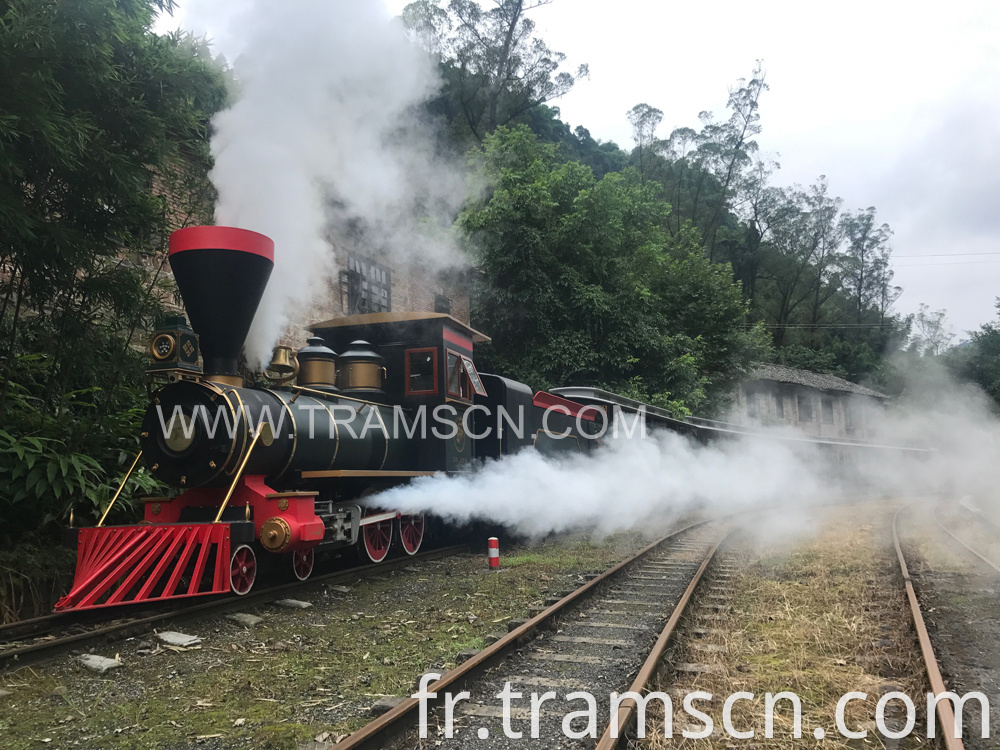 sightseeing trains newest steam locomotive